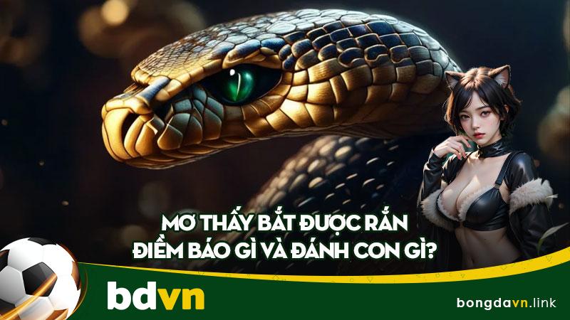 Mơ thấy bắt được rắn - Điềm báo gì và đánh con gì?
