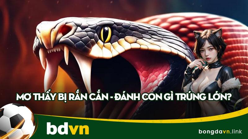 Mơ thấy bị rắn cắn - Đánh con gì trúng lớn?
