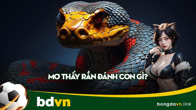 Mơ thấy rắn đánh con gì?